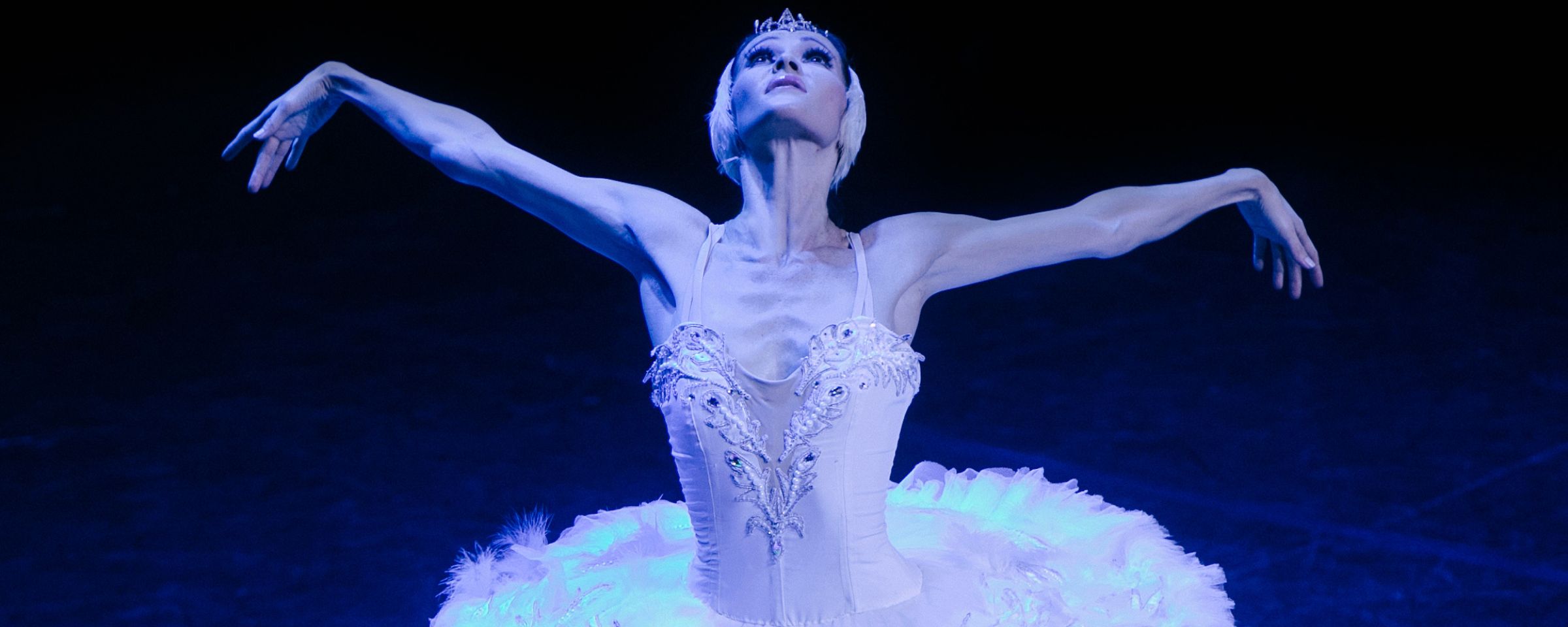 Het Zwanenmeer - Théâtre Classique | mecc